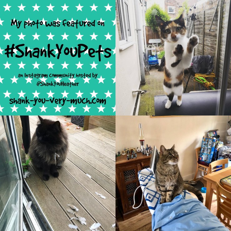 Shank You Pets week 24
